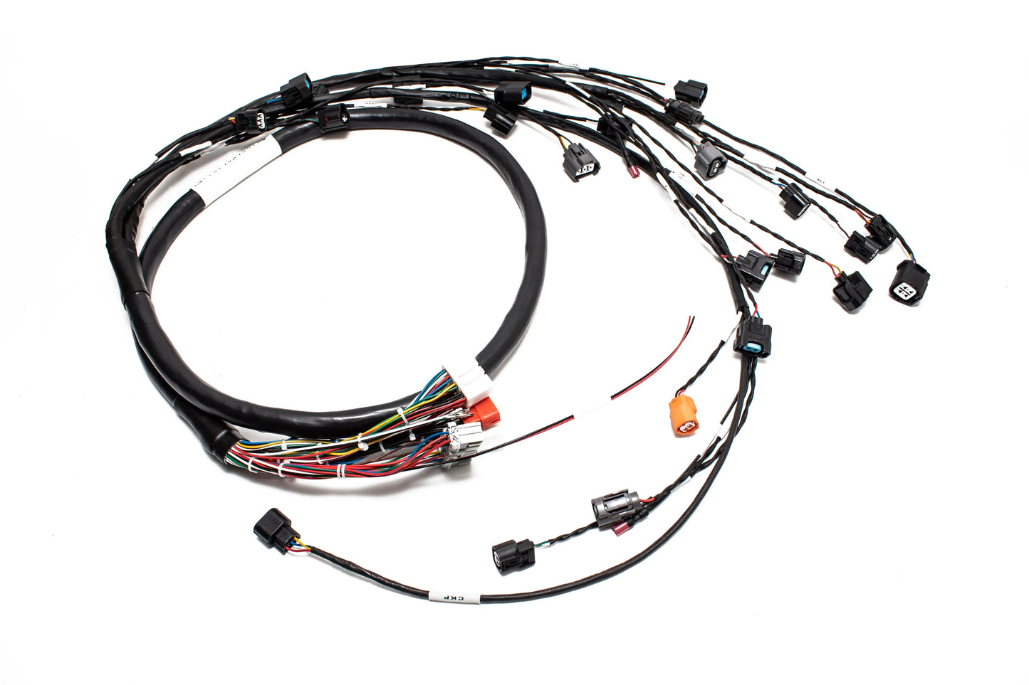 Milspec K20 K24 K-Series Tucked Swap Engine Harness V3 RHD, RWD and LHD | Acura | Honda |