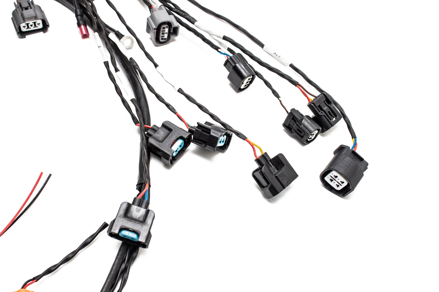 Milspec K20 K24 K-Series Tucked Swap Engine Harness V3 RHD, RWD and LHD | Acura | Honda |